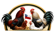 AvesMarketChile